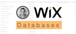build advanced functionality with wix velo databases for your wix site