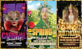 design professional flyers or posters for events festivals parties club concerts