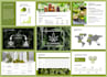 design a pitch deck, business plan, powerpoint presentation, and google slides