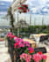 show you istanbul from my perspective