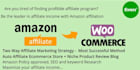 build SEO optimized affiliate store with blog