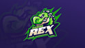 design mascot logo for esports and sports brand