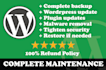 perform backup and maintenance of wordpress website