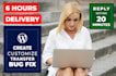 fix wordpress bugs, customize wordpress now