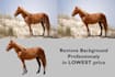 resize images for your website