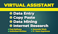 be your virtual assistant for data entry, data mining, web research, copy paste