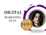 provide a professional digital marketing plan