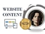 write professional website content
