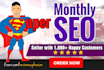 provide a monthly SEO service with high quality link building