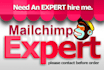 be your mailchimp expert for email marketing