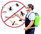 post your article to my pest control website