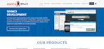 customize your whmcs themes