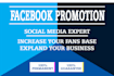 do facebook page advertising