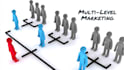 develop complete MLM website and software for you with usdt