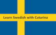 help you learn swedish one to one