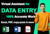 do excel data entry, data cleaning, PDF to excel, typing, copy paste, scraping