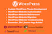 customize ,fix errors or develop wordpress theme