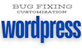 do professional wordpress customization and bug fixing