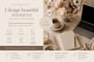 design freebies, lead magnets, checklist, workbook, pdfs