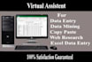 do data entry typing and copy paste work