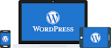 create a wordpress website for you
