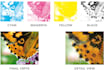 do a color separation screen printing cmyk spot process