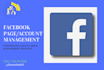 professionally manage your facebook business page