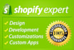 build shopify website for you