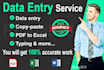 do data entry, typing, copy paste, excel data entry, cleaning, PDF to excel, VA