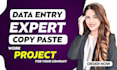 do copy paste work projects for your company