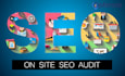 do detailed onsite SEO audit