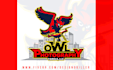 design professional mascot and business logo