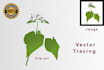 do vector tracing of your image or logo
