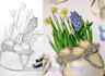 sketch anything for you