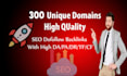 300 unique referring domains blog comment backlinks high da