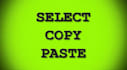 provide any type of copy paste data entry