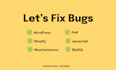 fix wordpress issues, PHP errors, and handle customizations