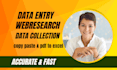 do data entry, data enrichment, using ai, and manual verification