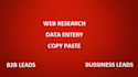 do web research and data entry task