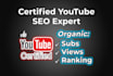 do expert youtube SEO optimizations for channel and videos