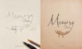 design a feminine hand drawn minimalist logo for your business