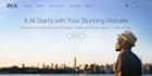 professionally design your website using js, react