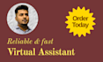 be your virtual assistant for data entry