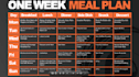 create professional meal plans and workout plans to transform your body