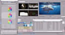 create any video intro animation in 24 hrs