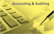 provide auditing services and analysis for the business