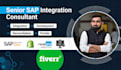sap expert for API integration, fixes, addons, sap portals