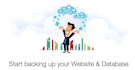 provide expert website migration and backup services
