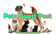 guest post on da50 pets blog