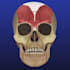 do professional medical, anatomy and scientific illustration